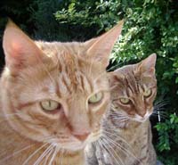 Foto van Casper met Loes