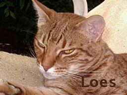 Foto van Loes