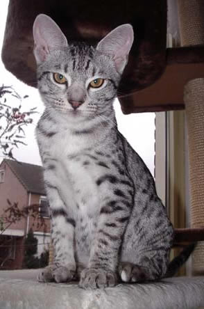 Kleine Lucie Foto van kleine Lucie