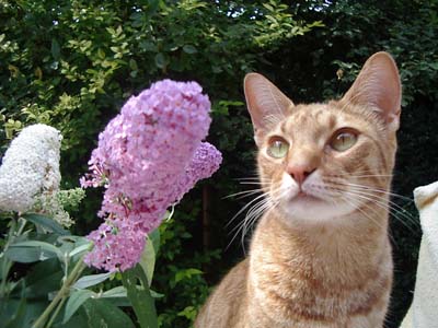 Foto van Merlijn met bloem