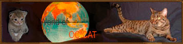 Naar de world of ocicats site